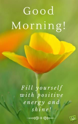 Good Morning! Fill yourself with positive energy and shine!