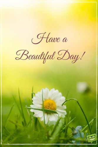 Have a beautiful day!