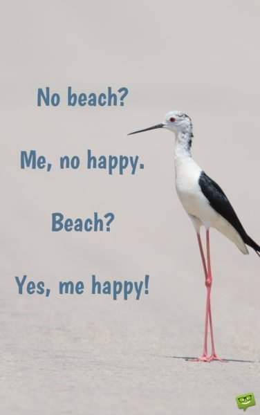 No beach? Me, no happy. Beach? Yes, me happy!