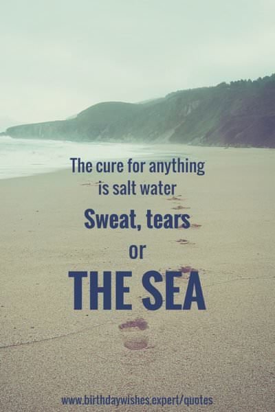 The cure for anything is salt water. Sweet, tears or the sea.