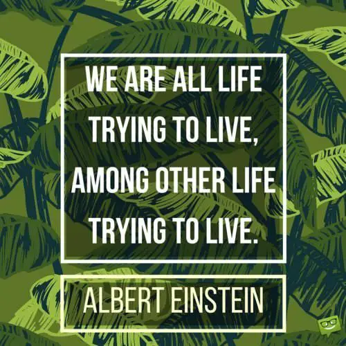 We are all life trying to live, among other life trying to live. Albert Einstein.
