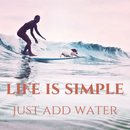 Life is simple. Just add water.