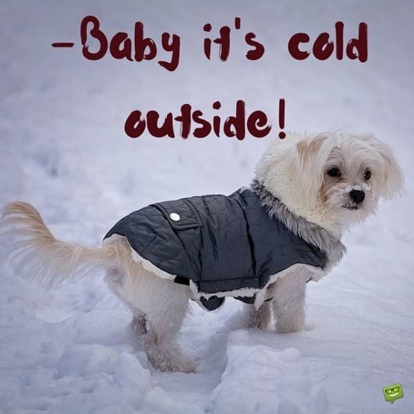 Baby, it's cold outside!