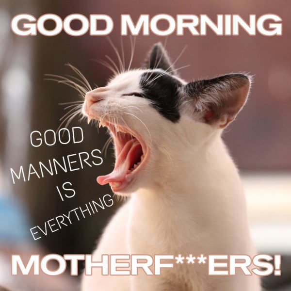Good Manners is everything. Good Morning, motherf***ers!