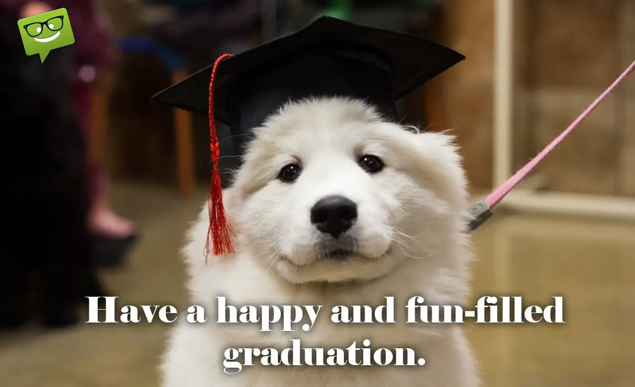 GraduationDogFB