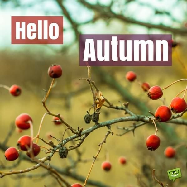 Hello, Autumn.