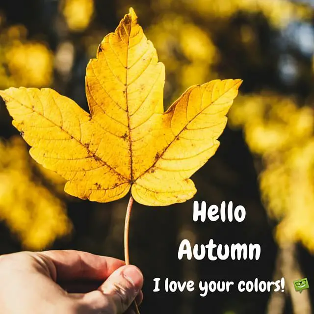 Hello, Autumn!  Quotes and Images for this Fall