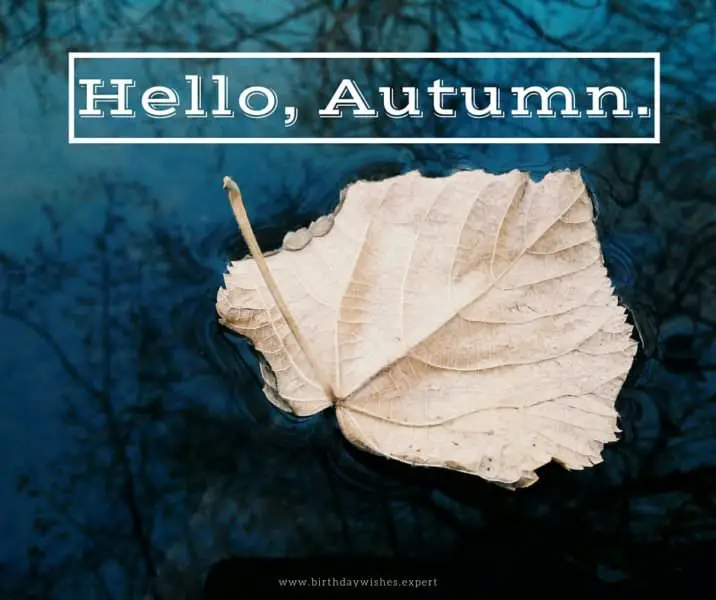 Hello, Autumn.