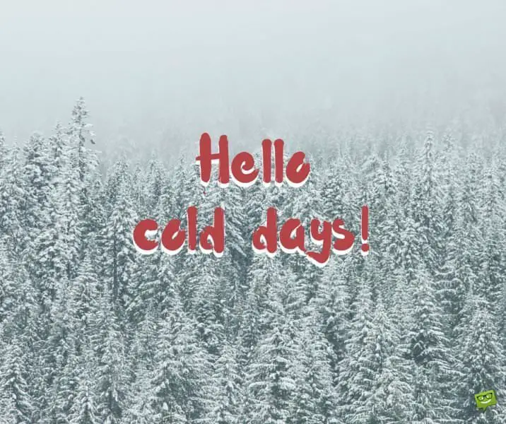 Hello, cold days!