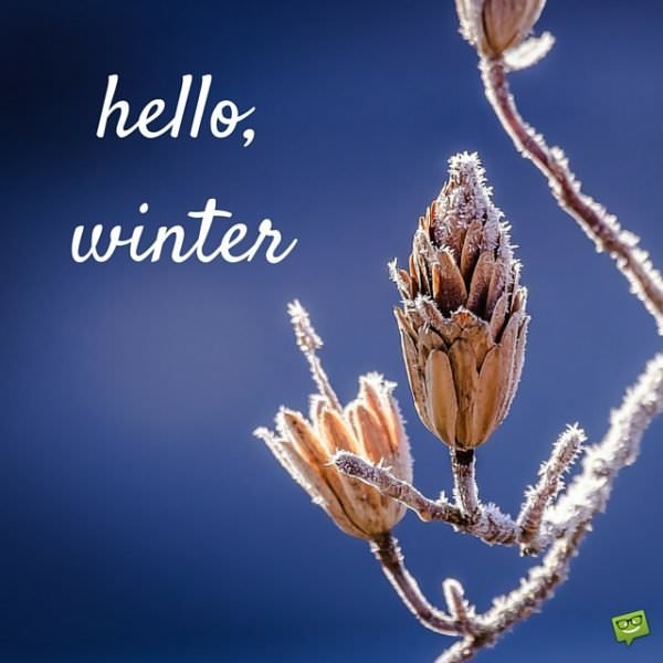 Hello, winter.