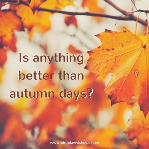 Is anything better than autumn days?