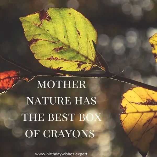 Mother nature has the best box of crayons.