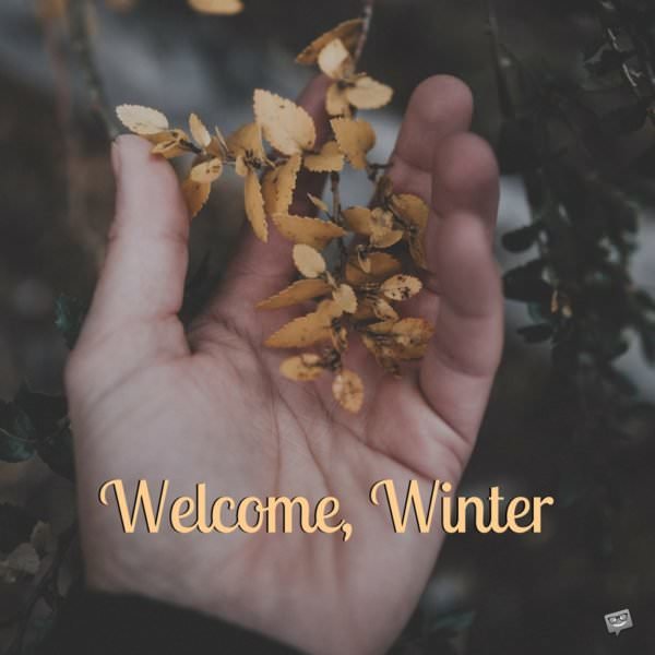 Welcome, Winter.