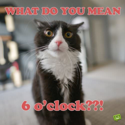 What do you mean 6 O'CLOCK??!