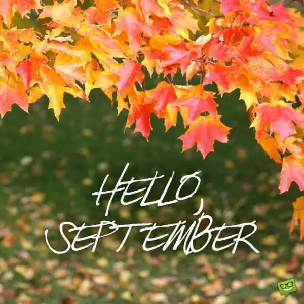 Hello, September.