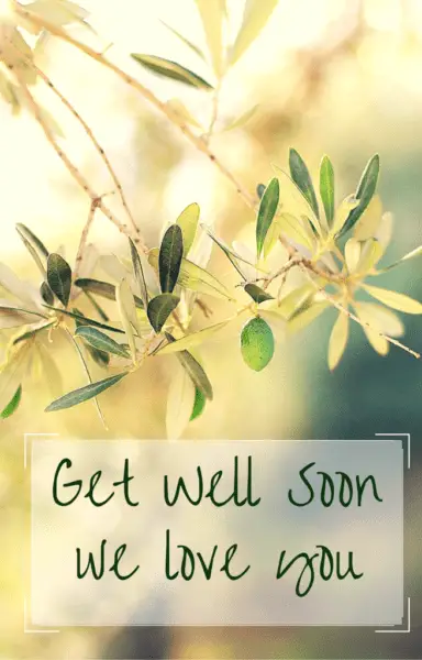 Get well soon. We love you. Get well soon. We love you.