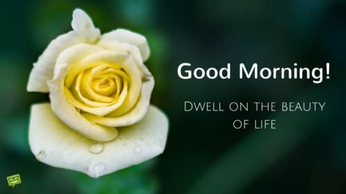 Good Morning! Dwell on the beauty of life!