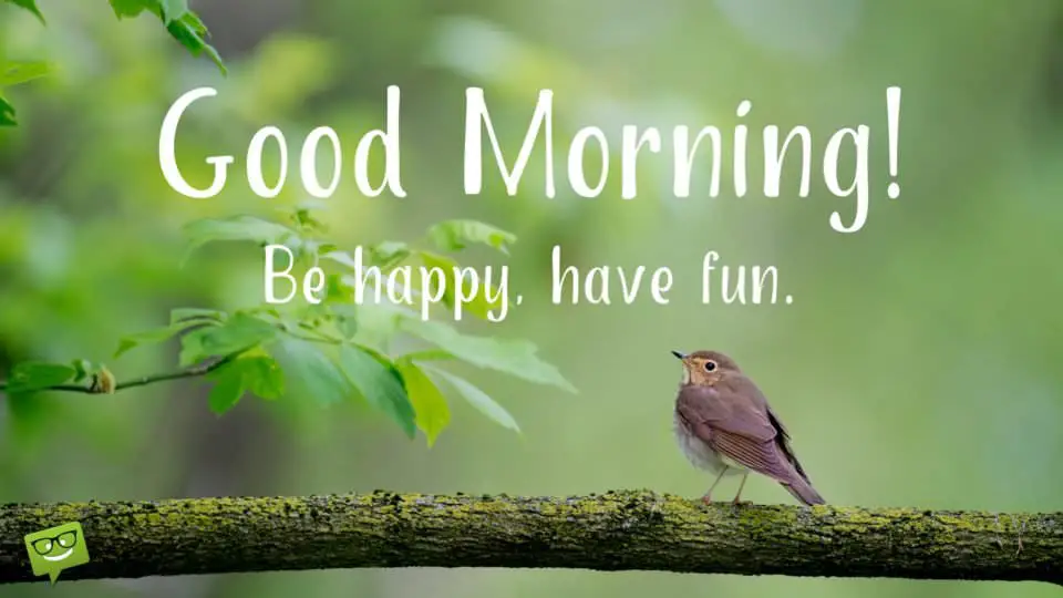 Good Morning. Be happy, have fun.