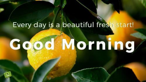 Good Morning. Everyday is a beautiful fresh start!