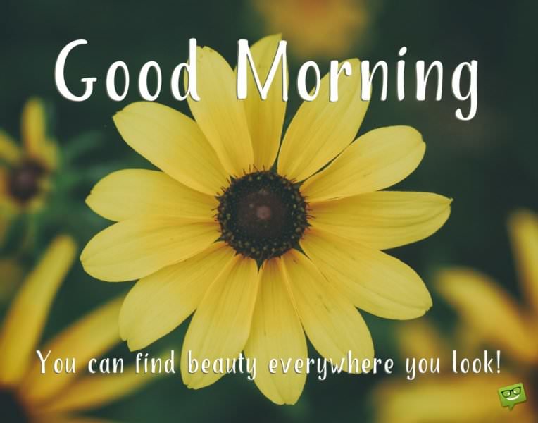Wake up & Seize the Day!  Positive Good Morning Quotes