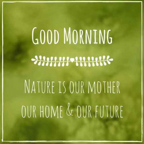 Good Morning. Nature is our mother our home & our future.