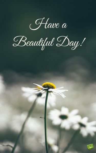 Have a beautiful day.