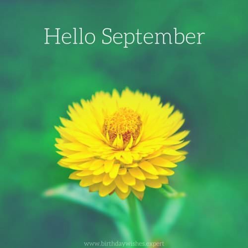 Hello, November!  Quotes for the Month of Gratitude