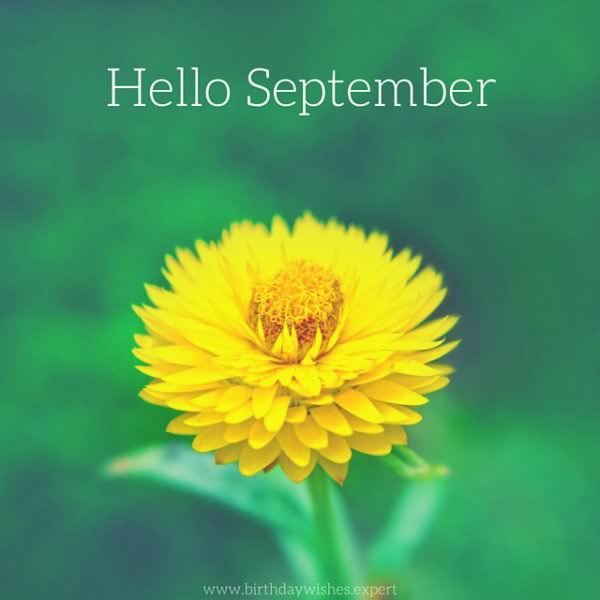 Hello, September!