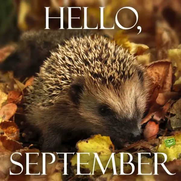 Hello, September!