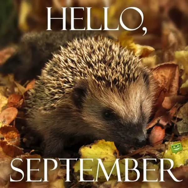 Hello, September!  Inspired Quotes for a Productive Autumn