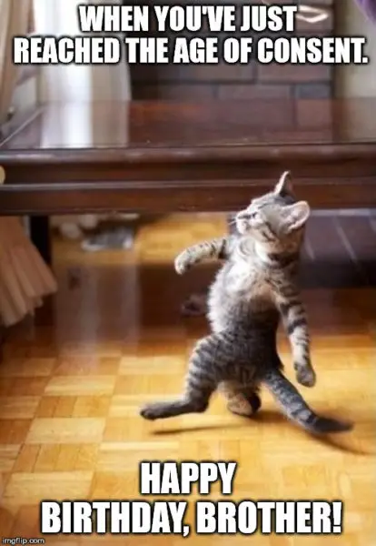 Walking cat meme for your brother | Birthday Wishes Expert's birthday. When you've just reached the age of consent.
