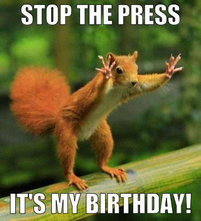 Funny Birthday Meme squirrel in panic | Birthday Wishes Expert Stop the press, it's my birthday!