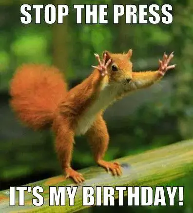 Остановите прессу, у меня день рождения!