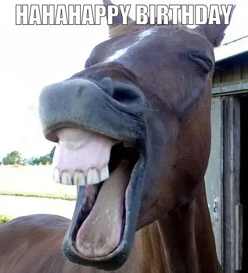 HaHaHappy Birthday