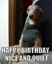 Happy Birthday, Nice and Quiet.