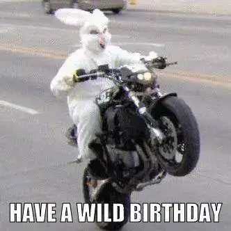 Have a Wild Birthday.