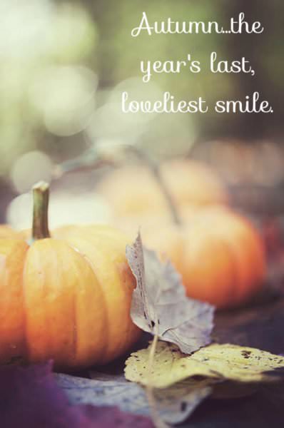 Autumn, the year's last, loveliest smile.