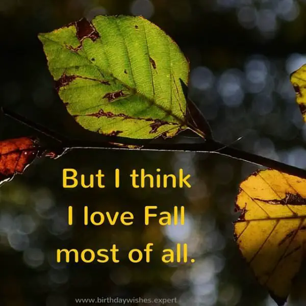 But I think I love fall most of all.
