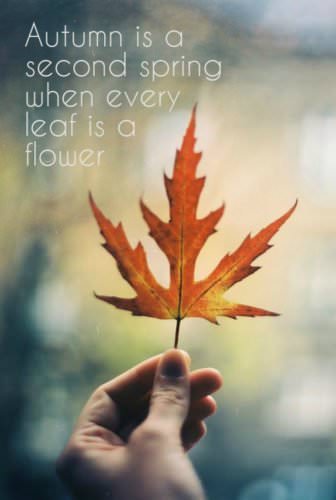 autumn-is-a-second-spring-when-every-leaf-is-a-flower-quote-on-image