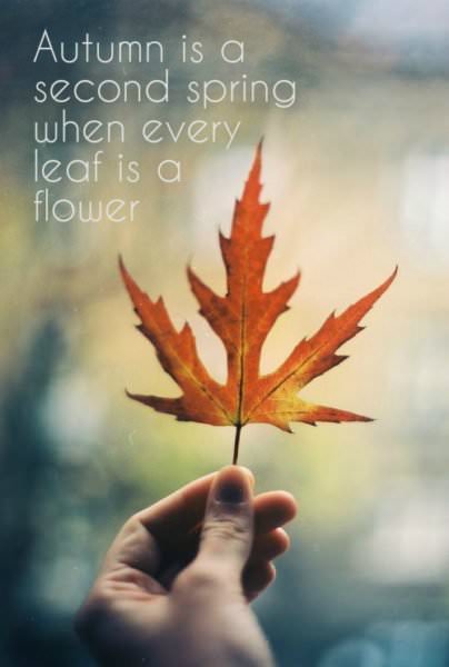 Hello, October! Quotes | Fun Facts and Images to Share