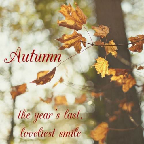Autumn, the year's last loveliest smile.