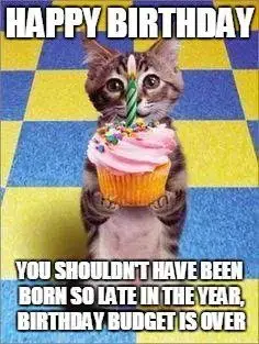 Happy Birthday. You shouldn't have been born so late in the year. Birthday Budget is over.