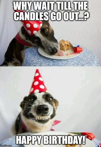 Why wait till the candles go out? | Birthday Wishes Expert Why wait till the candles go out?