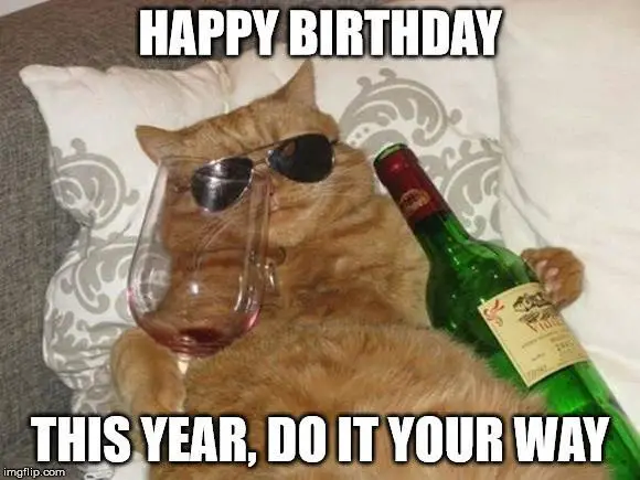 Drunk cat birthday meme. | Birthday Wishes Expert Happy Birthday. This year, do it YOUR way.