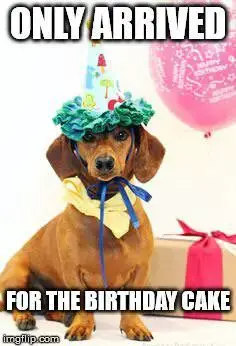 Only arrived for the birthday cake.