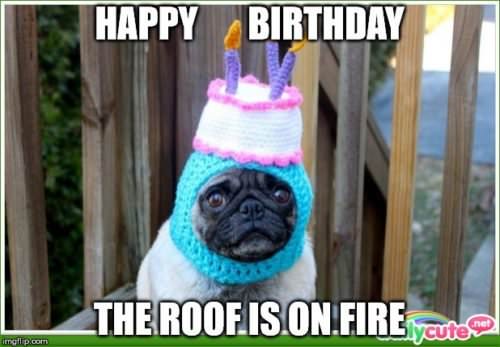 Happy Birthday. The roof is on FIRE!