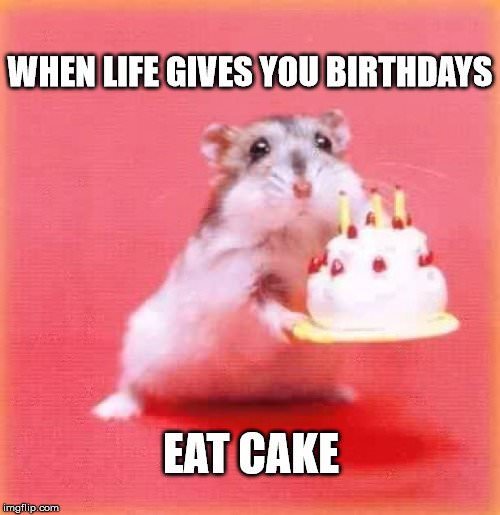 Funny Birthday Hamster