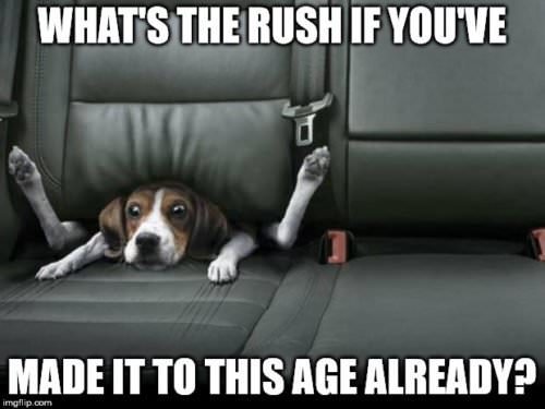What's the rush if you've made it to this age already?