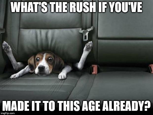 What | Birthday Wishes Expert's the rush if you've made it to this age already? What's the rush if you've made it to this age already?