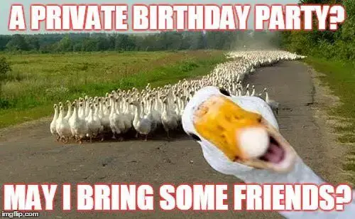 A private birthday party? May I bring some friends?